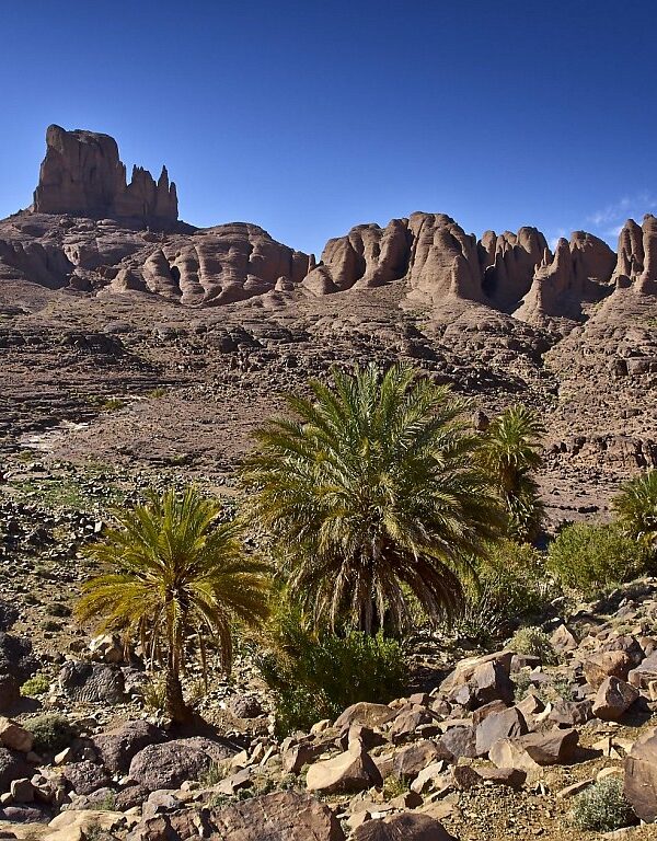 Morocco mount