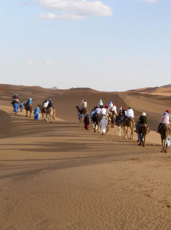 7 days desert tour from Marrakech to Fes