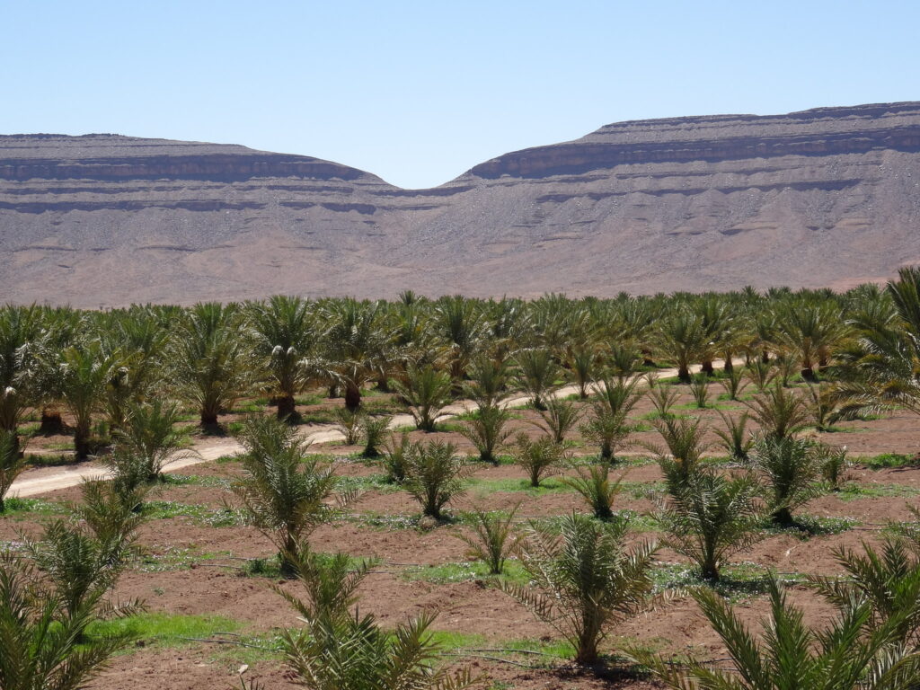 Ouarzazate day Trips