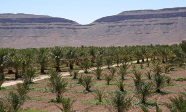 Ouarzazate day Trips