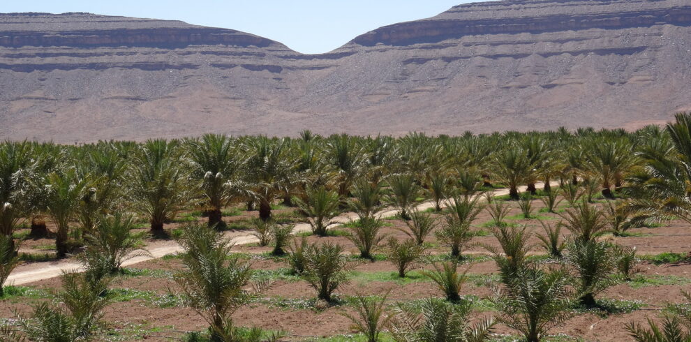 Ouarzazate day Trips