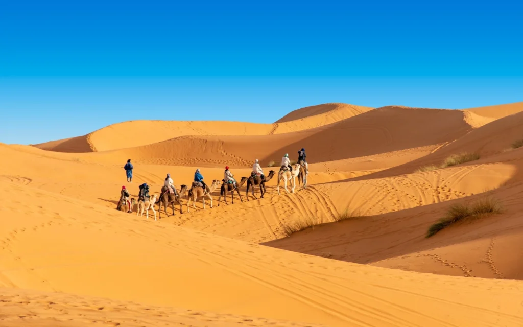 Merzouga erg chebbi