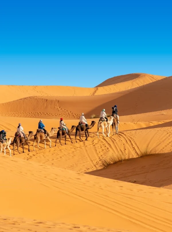 Merzouga erg chebbi