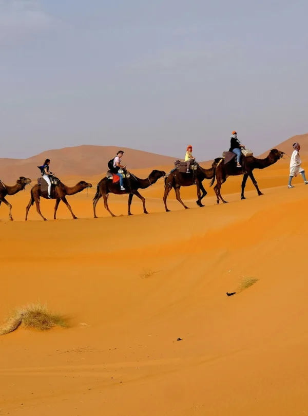 3 days tour from Marrakech to Fes
