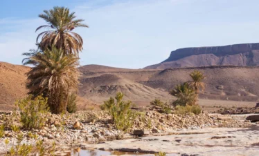 2 days desert escape to Zagora desert