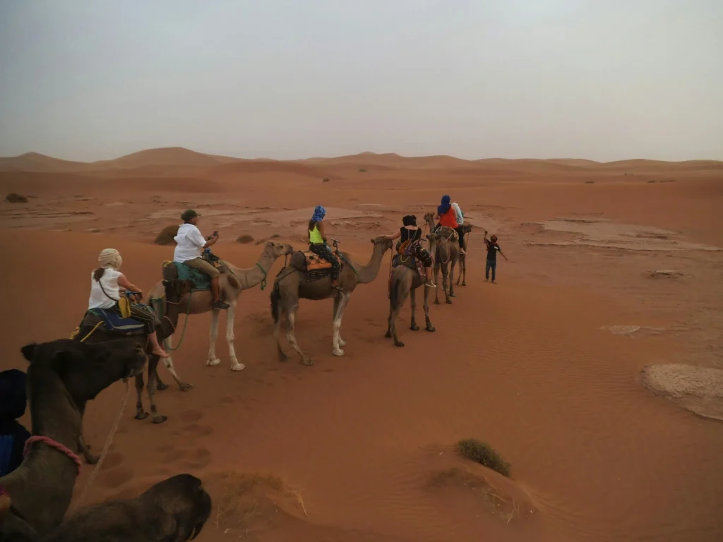 2 days desert escape to Zagora desert
