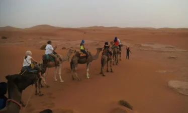 2 days desert escape to Zagora desert