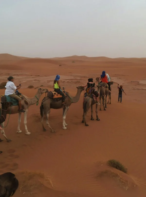 2 days desert escape to Zagora desert