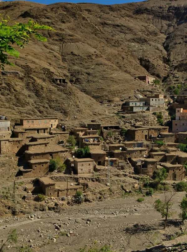 Todra